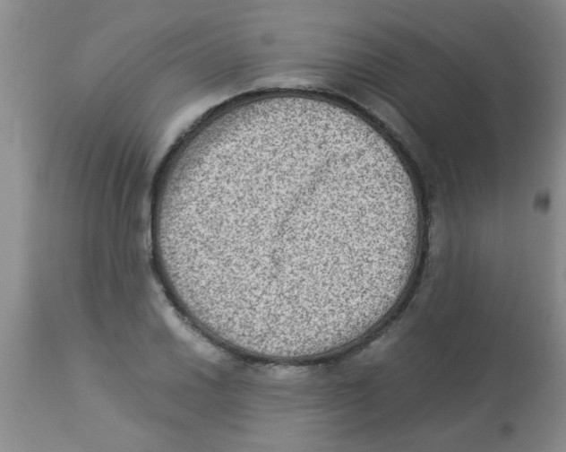 X0000113951030200910232002