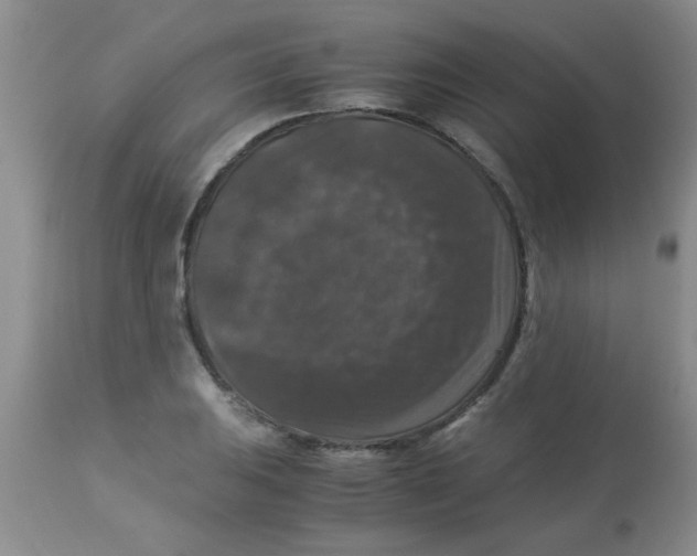 X0000113951031200910232002
