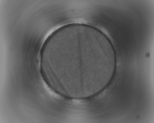 X0000113951032200910232002