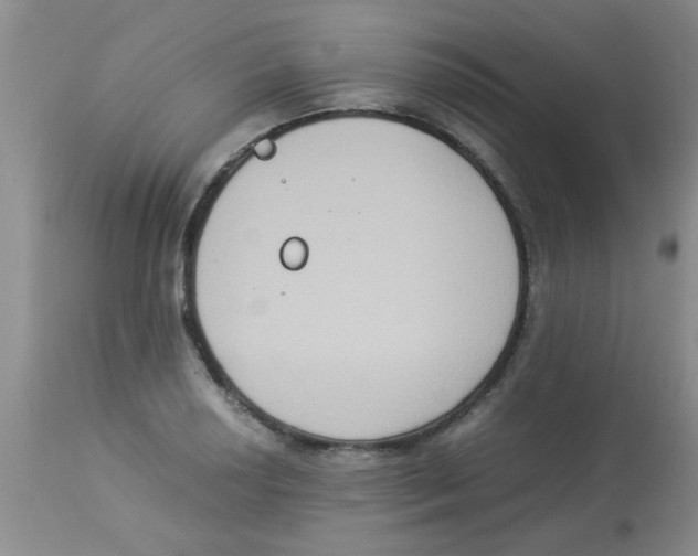 X0000113951034200910232002