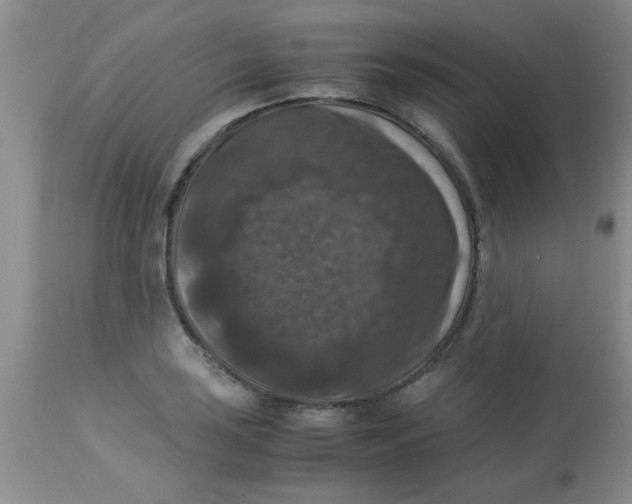 X0000113951035200910232002