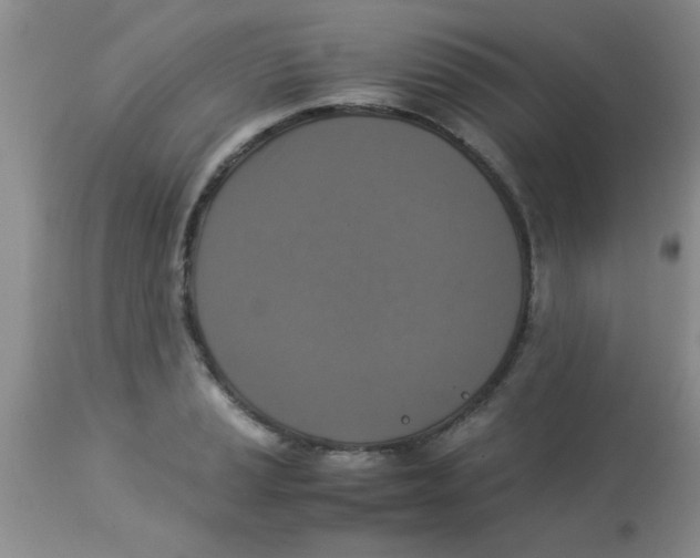 X0000113951037200910232002