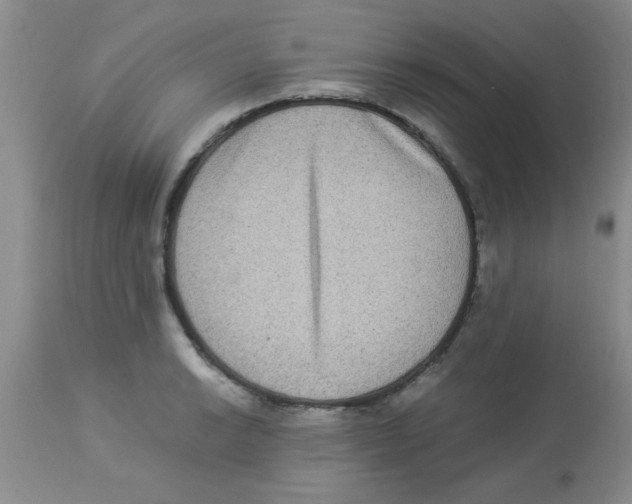 X0000113951038200910232002