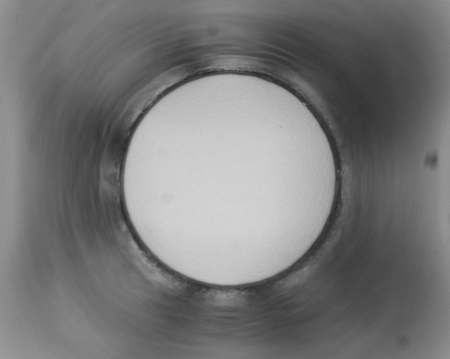 X0000113951041200910232002