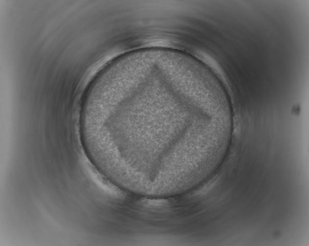 X0000113951043200910232002
