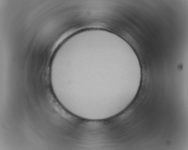 X0000113951044200910232002