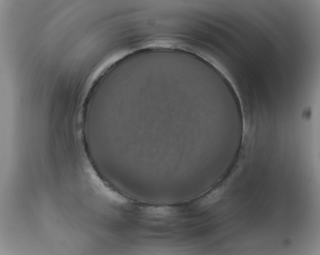 X0000113951045200910232002