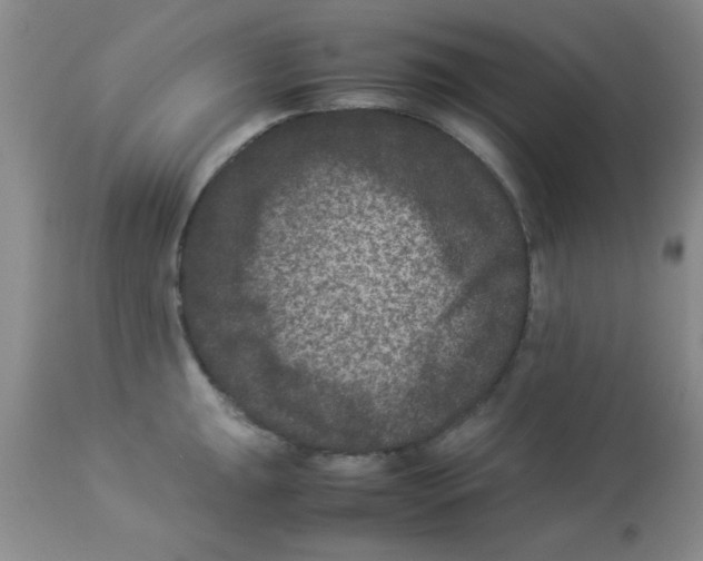 X0000113951047200910232002