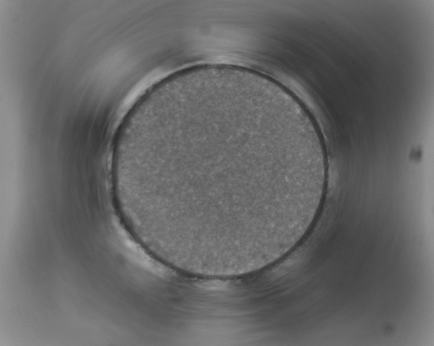 X0000113951048200910232002