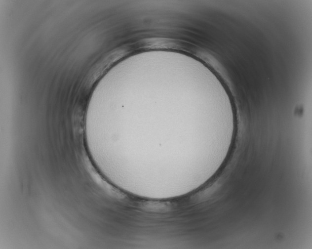 X0000113951049200910232002