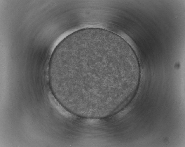X0000113951052200910232002