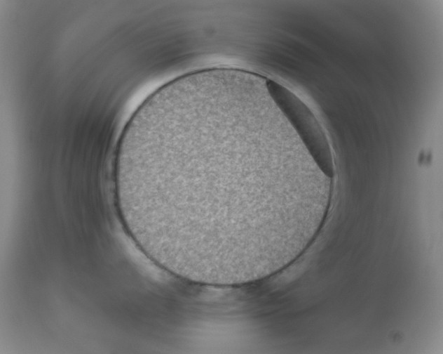 X0000113951056200910232002