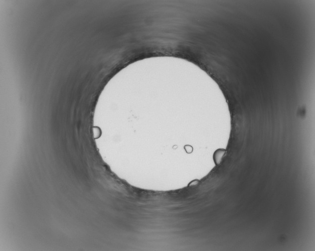X0000113951057200910232001