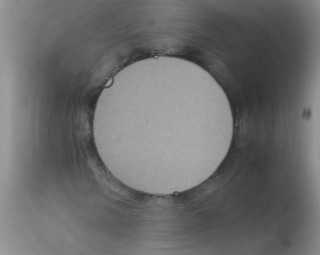 X0000113951058200910232001