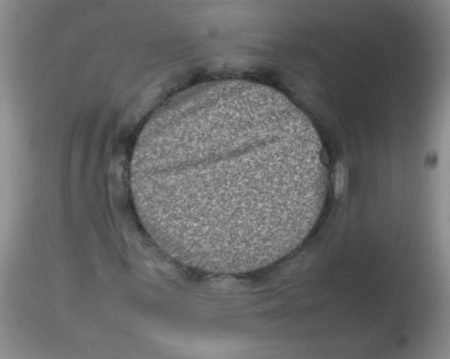 X0000113951059200910232001