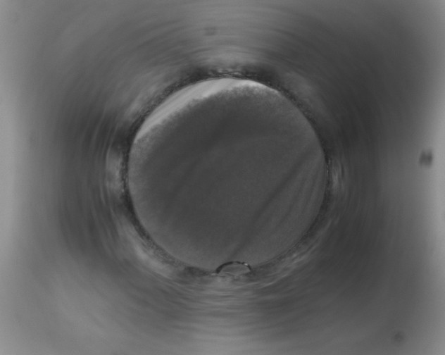 X0000113951060200910232001