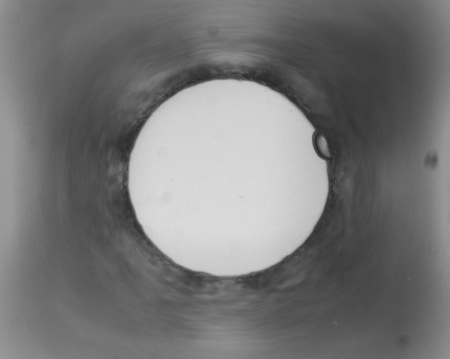 X0000113951061200910232001