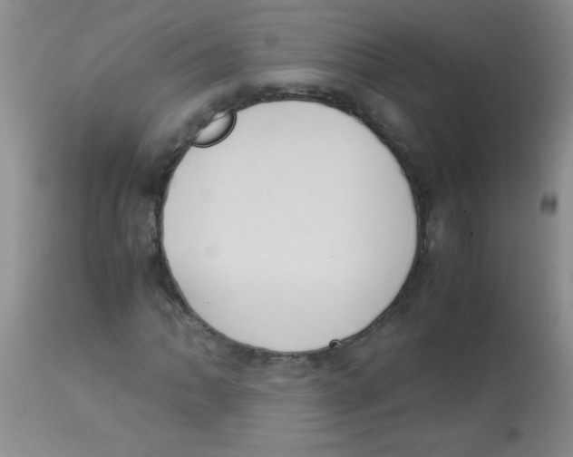 X0000113951062200910232001