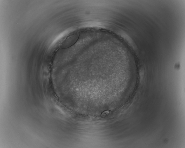 X0000113951064200910232001