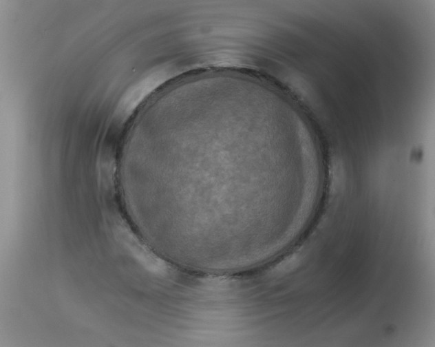 X0000113951065200910232001
