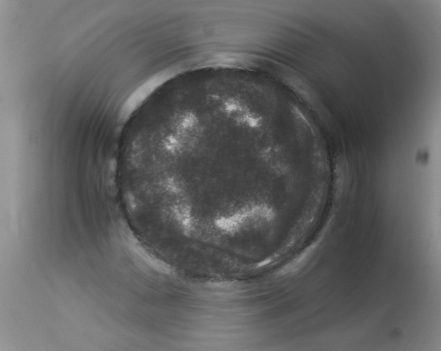X0000113951066200910232001