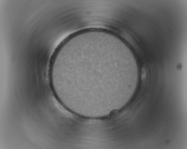 X0000113951068200910232001