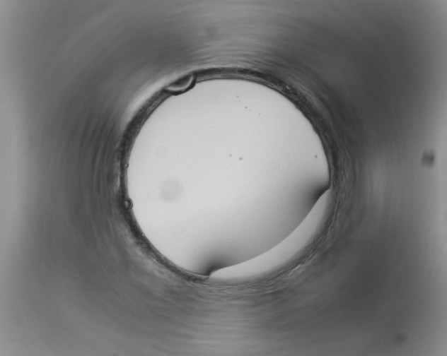 X0000113951069200910232001