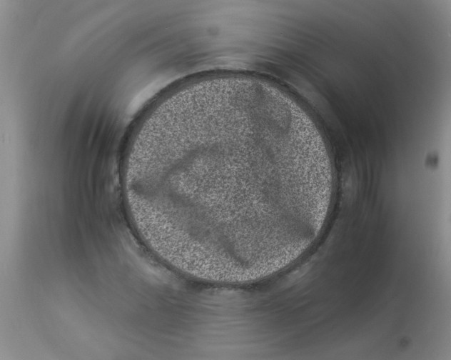 X0000113951070200910232001