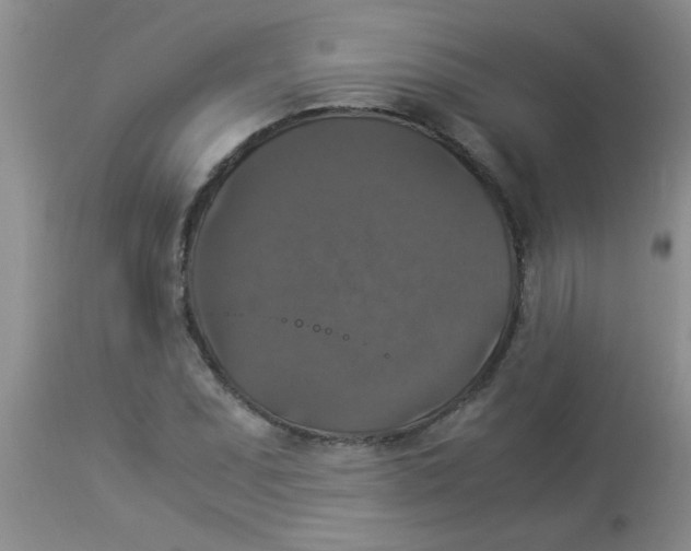 X0000113951071200910232001