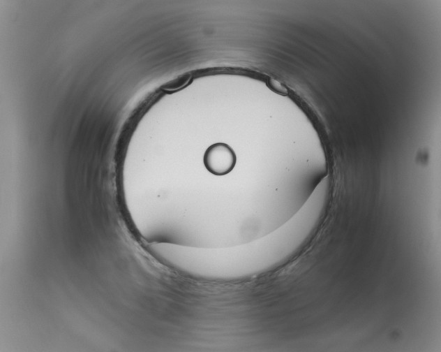 X0000113951072200910232001