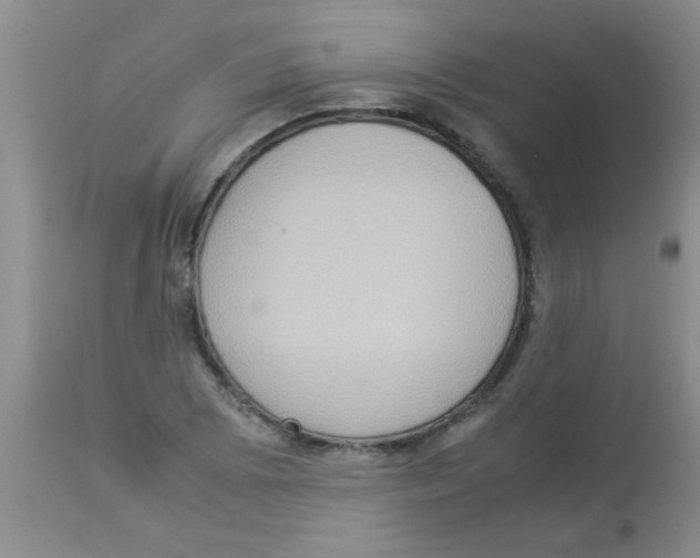 X0000113951073200910232001