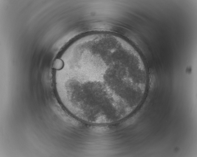 X0000113951074200910232001