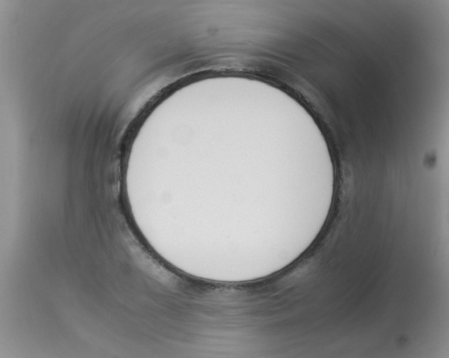 X0000113951075200910232001
