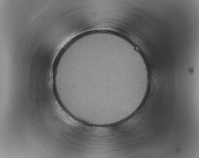 X0000113951076200910232001