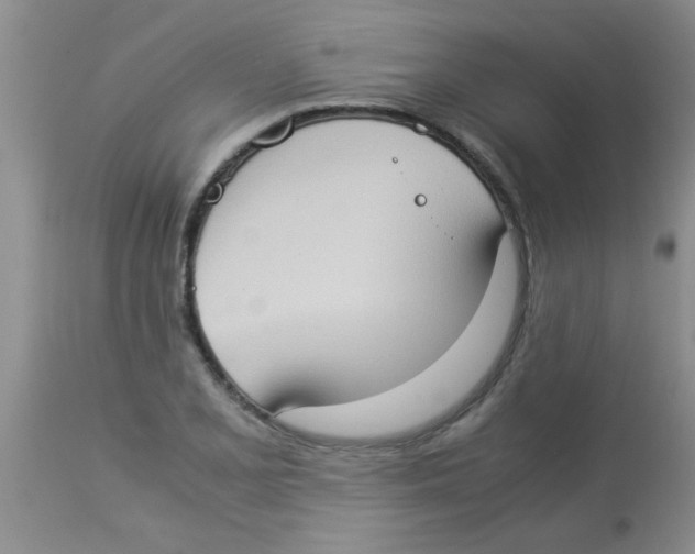 X0000113951077200910232001