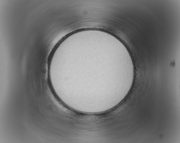 X0000113951079200910232001