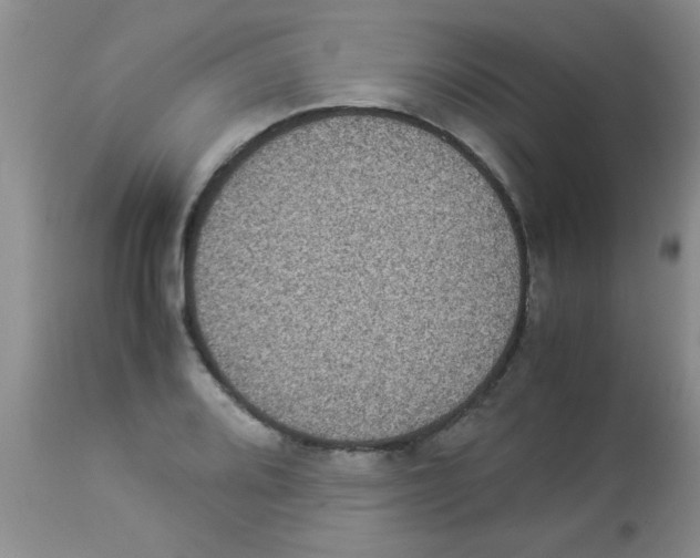 X0000113951080200910232001