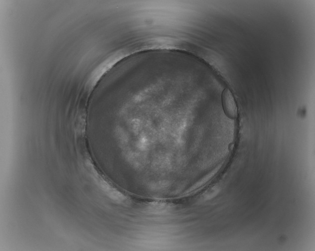 X0000113951081200910232001
