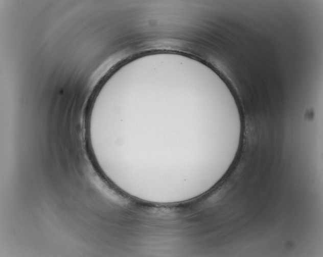 X0000113951082200910232001
