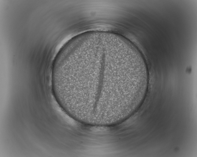X0000113951083200910232001