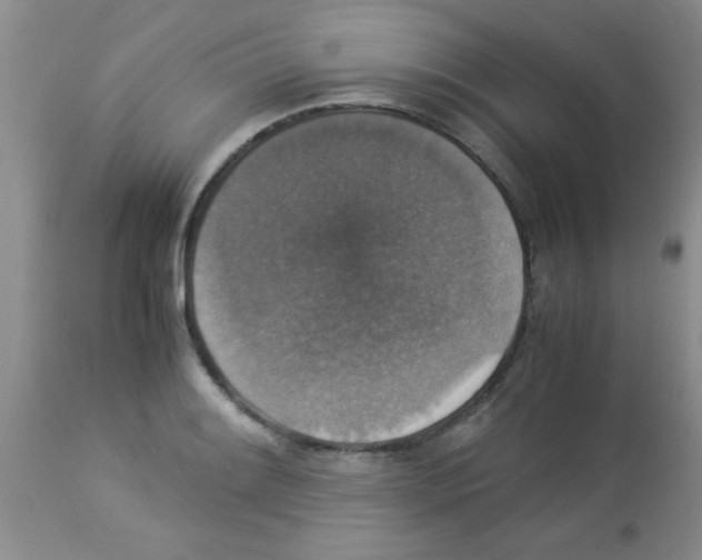 X0000113951084200910232001