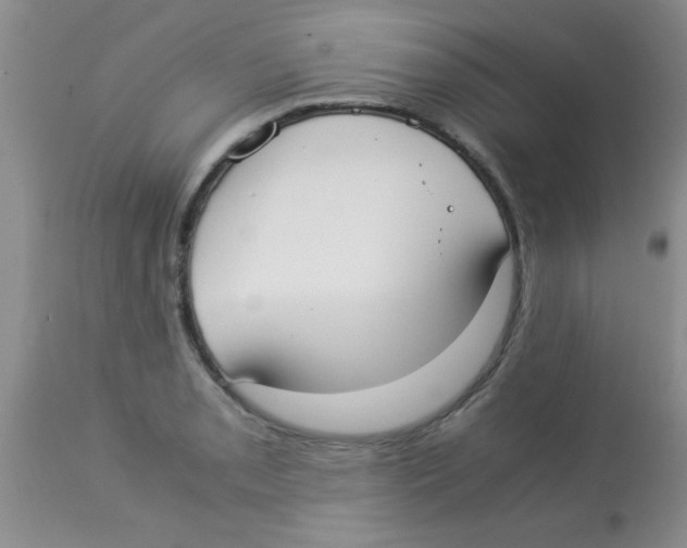 X0000113951085200910232001