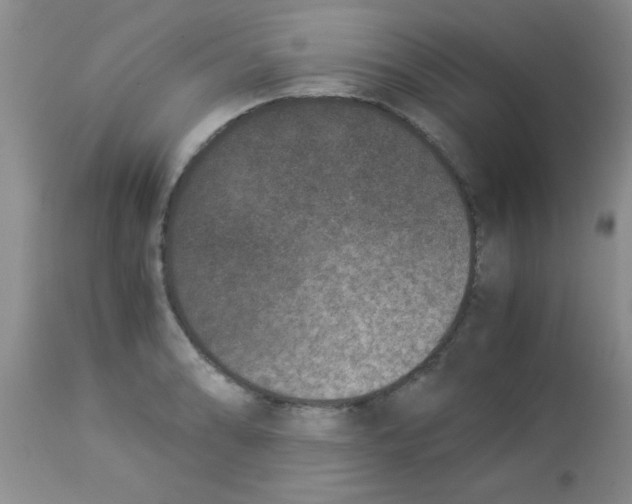 X0000113951086200910232001