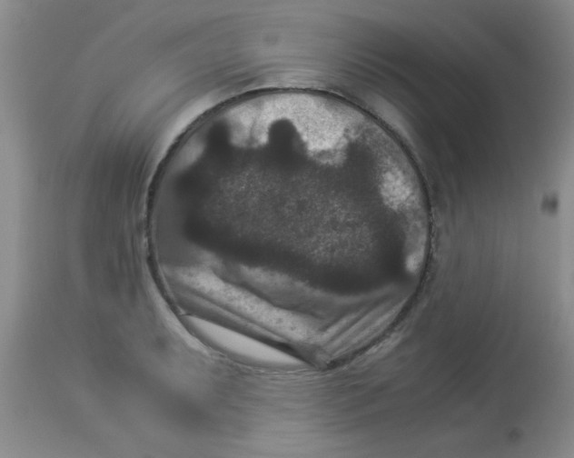 X0000113951087200910232001