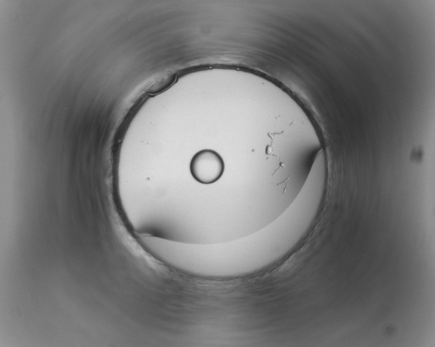 X0000113951088200910232001