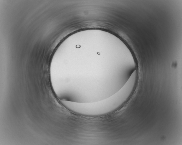 X0000113951089200910232001