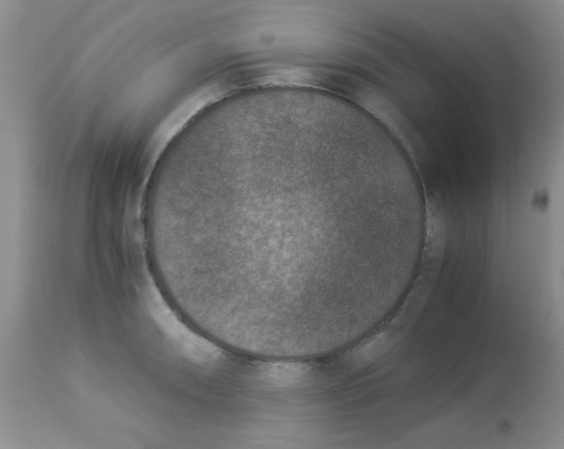 X0000113951090200910232001