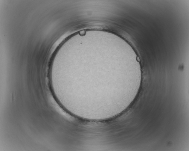X0000113951091200910232001