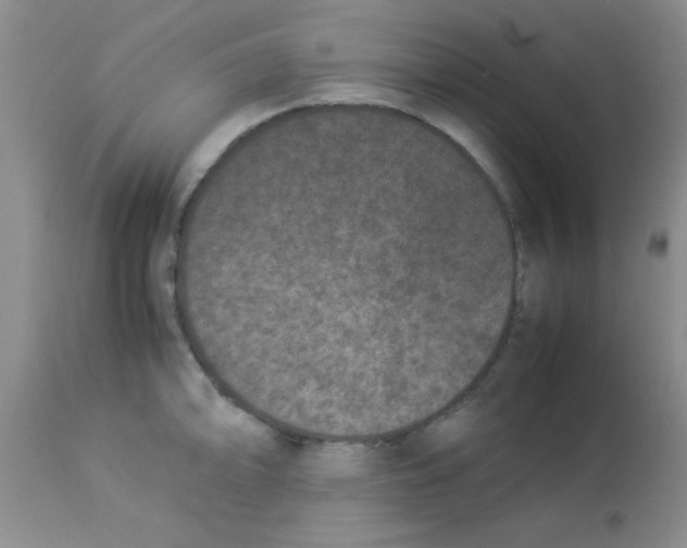 X0000113951094200910232001