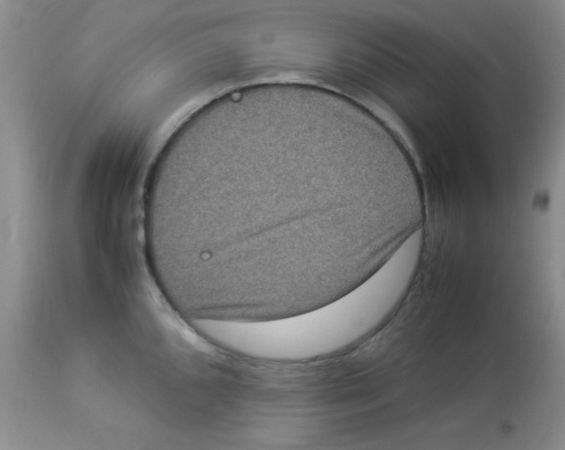 X0000113951096200910232001